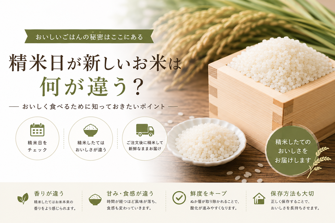 精米日が新しいお米は何が違う？おいしく食べるために知っておきたいポイント