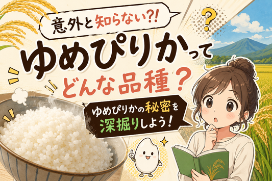 ゆめぴりかとは？名前の由来から低アミロースの粘り・特Aの理由まで深掘り
