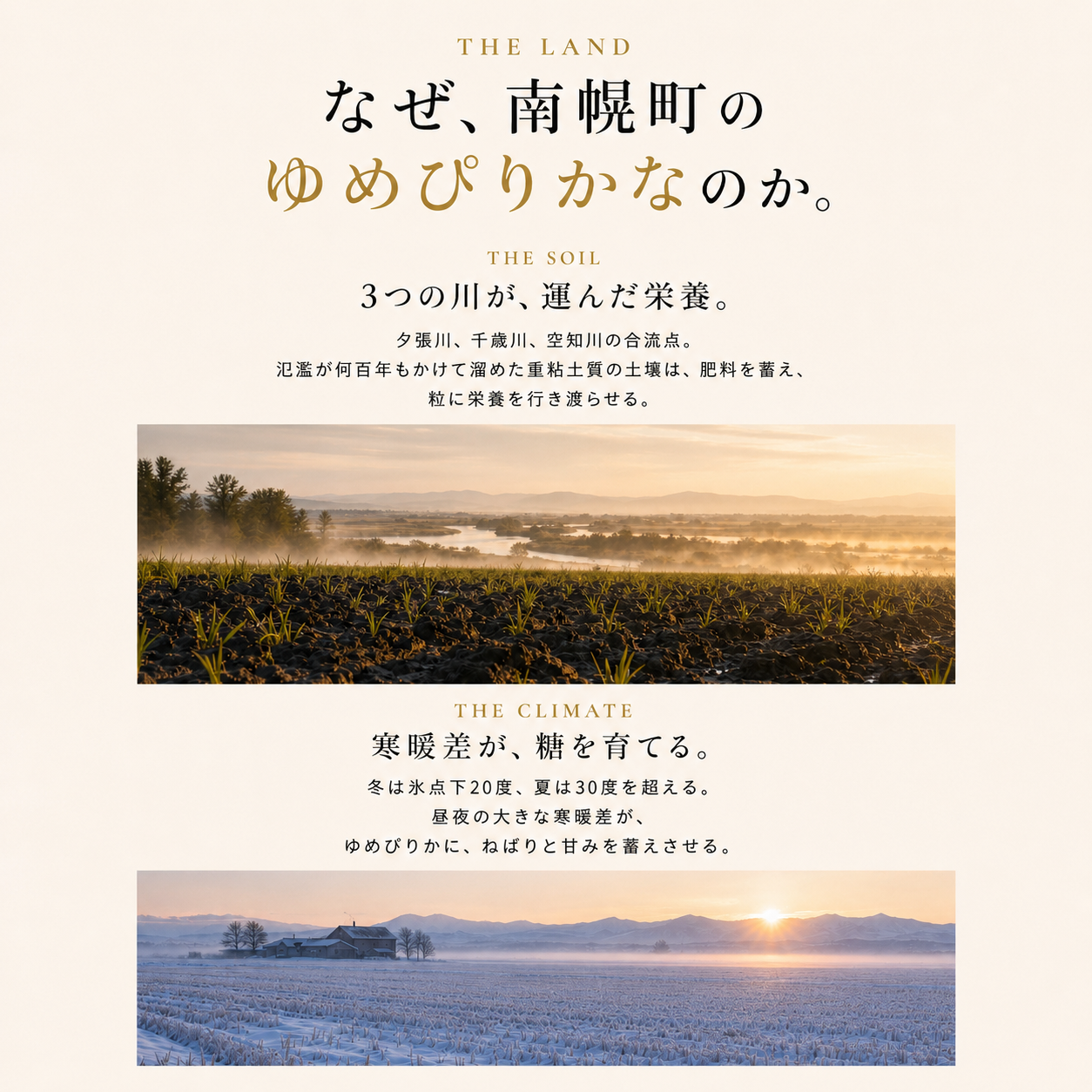 【送料無料】北海道ゆめぴりか5㎏ 特別栽培米（限定2セットまで）