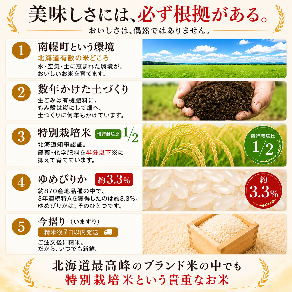 【新米・定期便10%OFF】北海道南幌産 ゆめぴりか特別栽培米 10kg（5kg×2袋）【送料無料】
